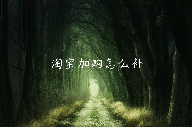 淘寶加購怎么補